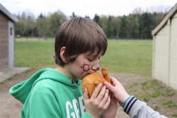 Weeekend - Toneelvereniging Plankenkoorts 